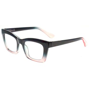 Plastic Reading Glasses